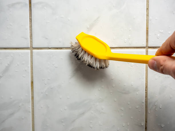 Best Mold Remediation  in Vivian, LA